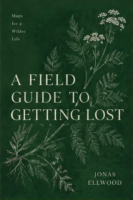 A Field Guide to Getting Lost sample book cover